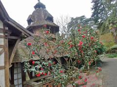 149 PARC ORIENTAL DE MAULEVIER MAINE ET LOIRE 2016 N1_000004